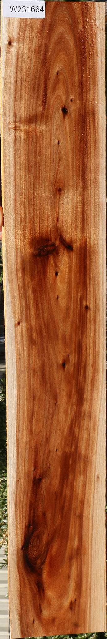 Tasmanian Blackwood Lumber
