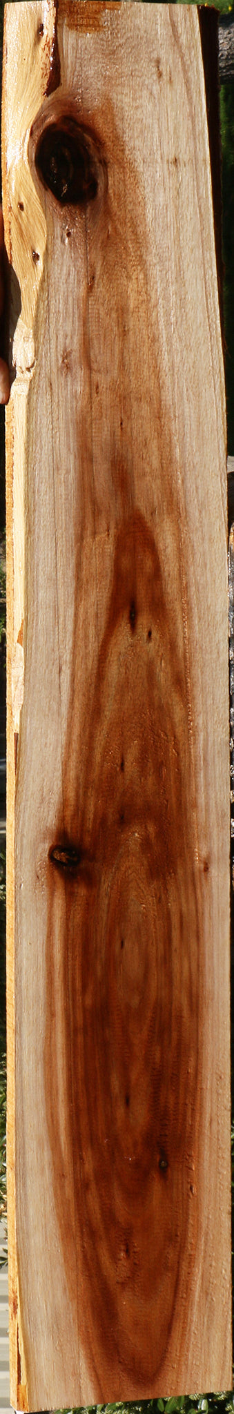 Tasmanian Blackwood Lumber