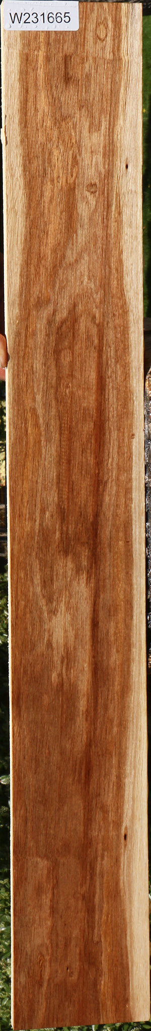 Tasmanian Blackwood Lumber
