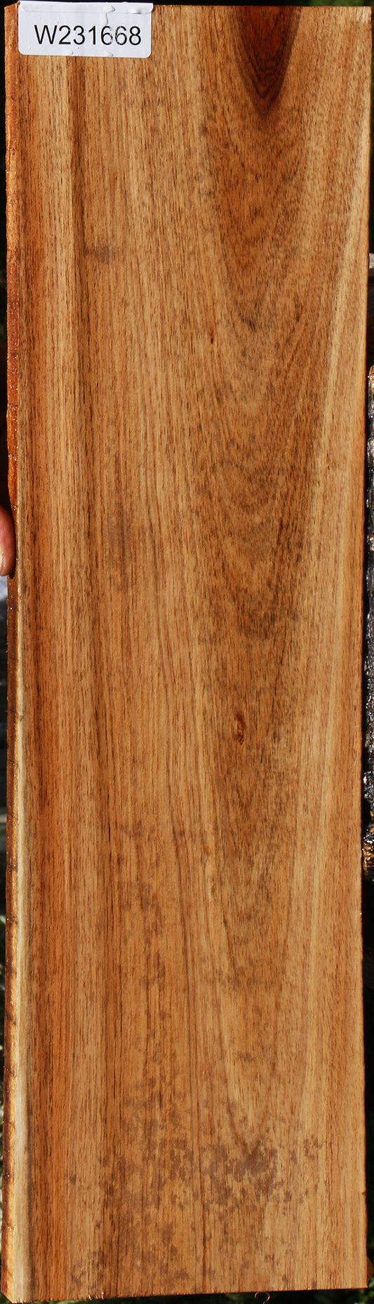 Tasmanian Blackwood Lumber