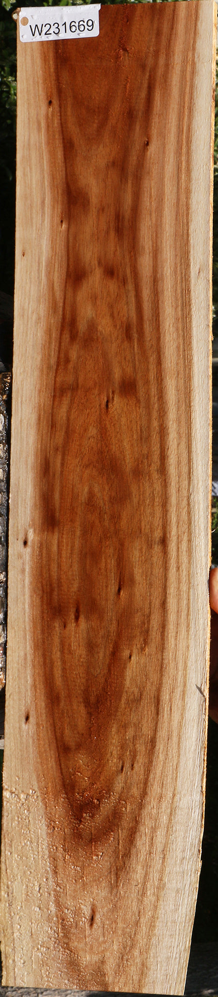 Tasmanian Blackwood Lumber