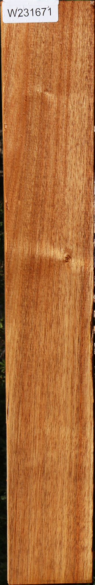 Tasmanian Blackwood Lumber