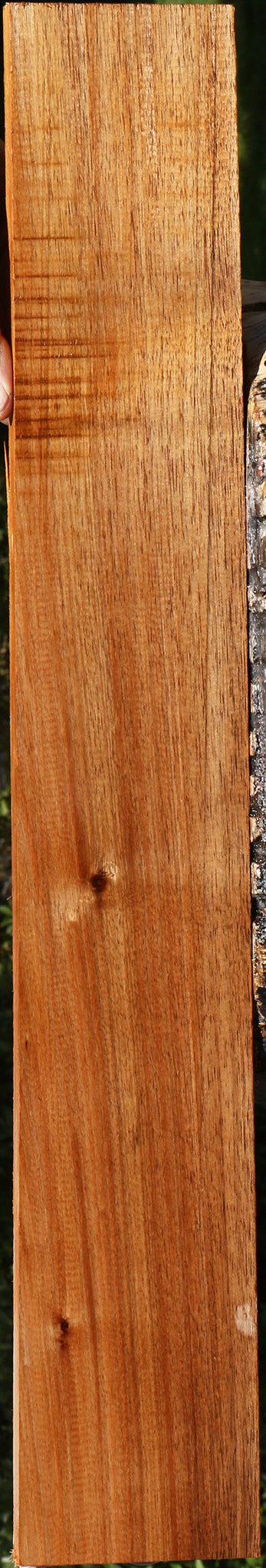Tasmanian Blackwood Lumber