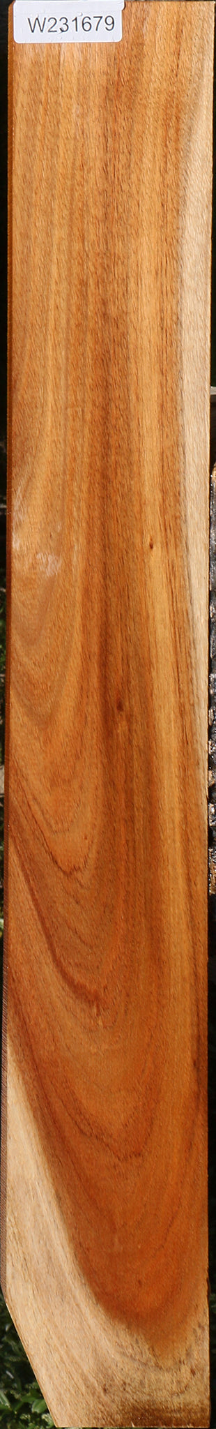 Tasmanian Blackwood Lumber
