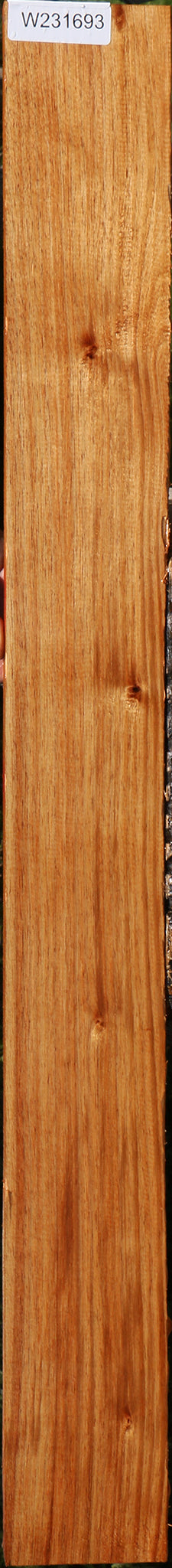 Tasmanian Blackwood Lumber