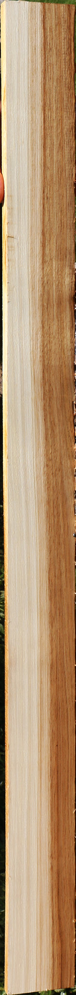 Tasmanian Blackwood Lumber