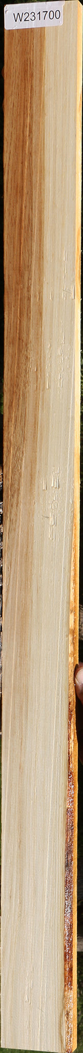 Tasmanian Blackwood Lumber