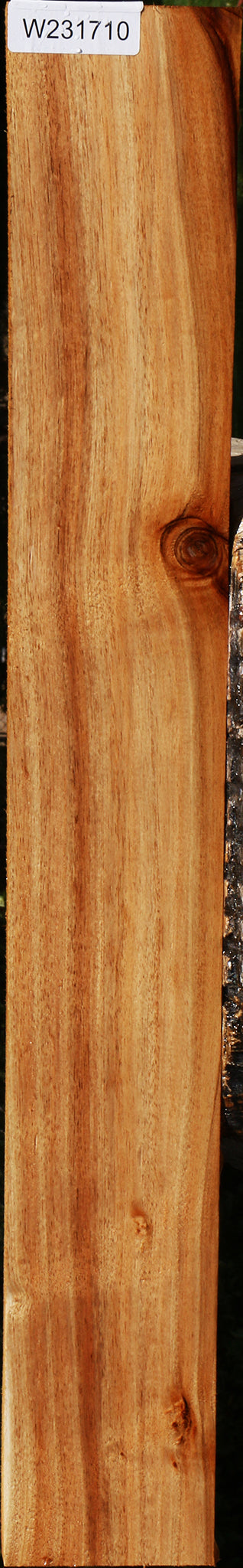 Tasmanian Blackwood Lumber