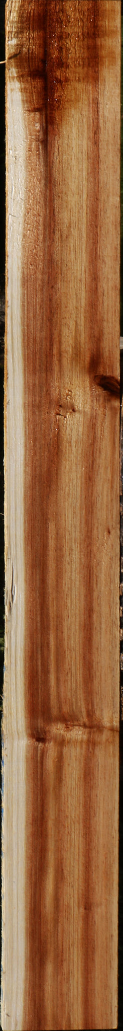 Tasmanian Blackwood Lumber