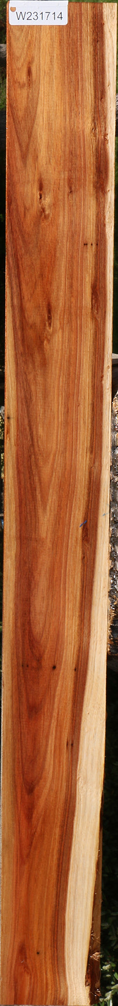 Tasmanian Blackwood Lumber