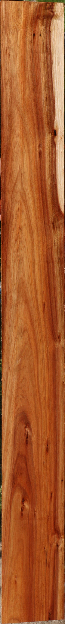 Tasmanian Blackwood Lumber