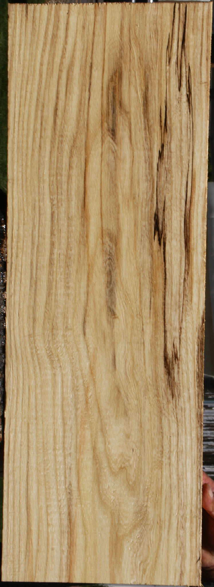 Spalted Hackberry Lumber