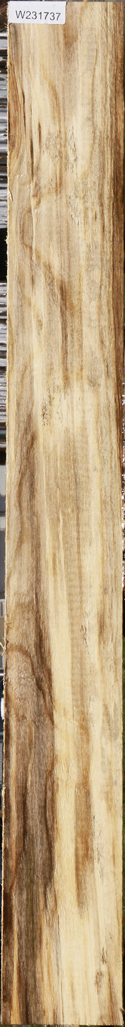 Extra Fancy Spalted Hackberry Lumber