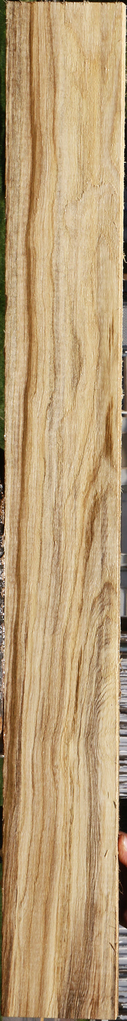 Extra Fancy Spalted Hackberry Lumber