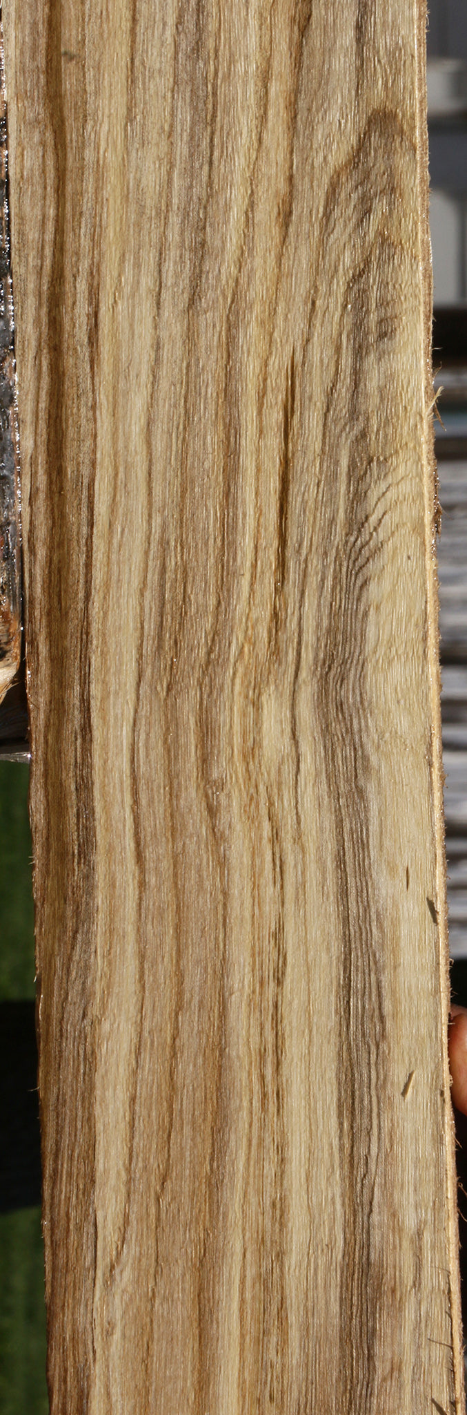 Extra Fancy Spalted Hackberry Lumber