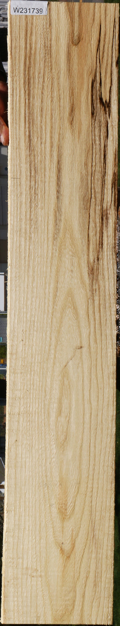 Spalted Hackberry Lumber