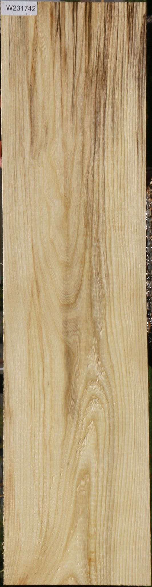 Spalted Hackberry Lumber