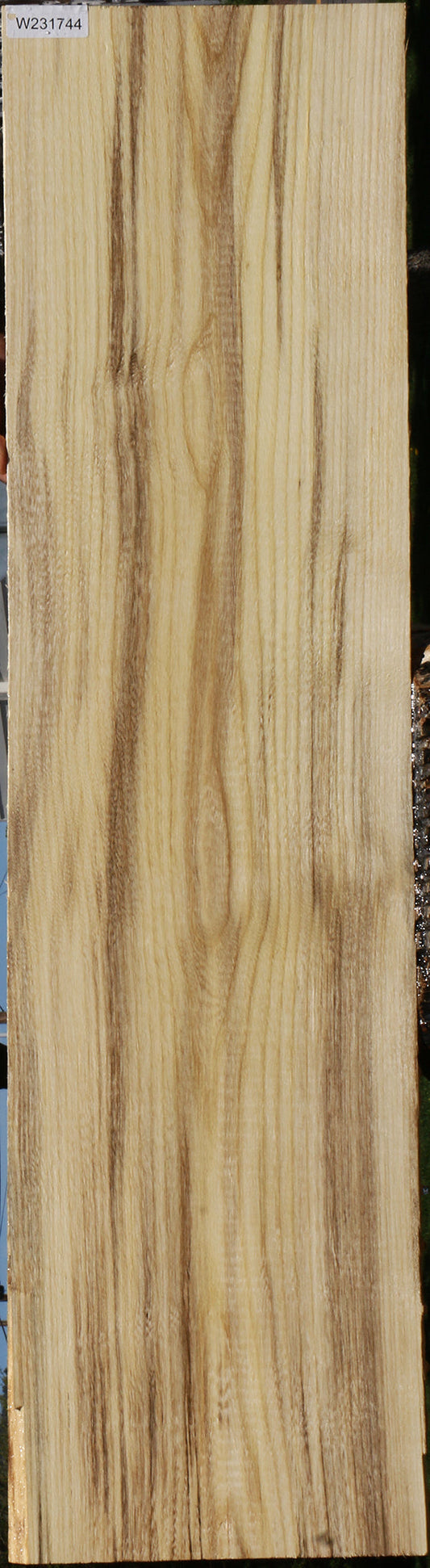 Spalted Hackberry Lumber