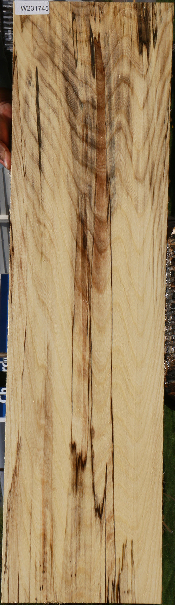 Spalted Hackberry Lumber