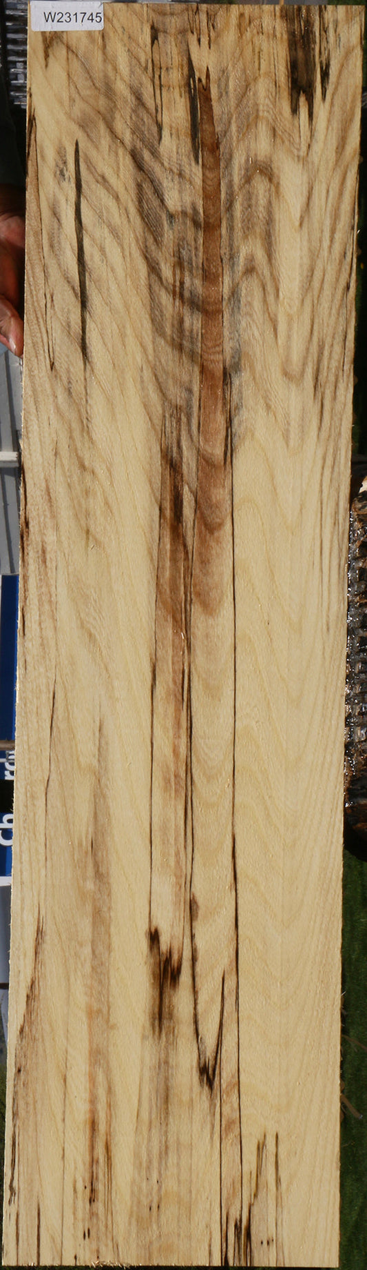 Spalted Hackberry Lumber