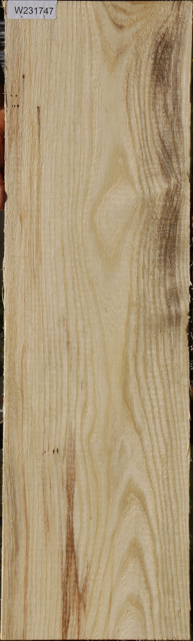 Spalted Hackberry Lumber