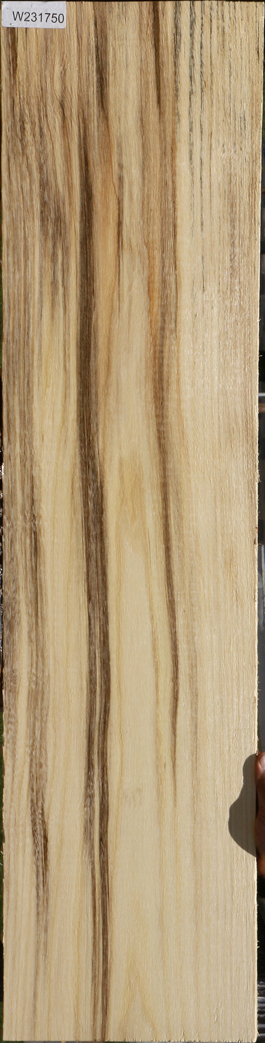 Spalted Hackberry Lumber
