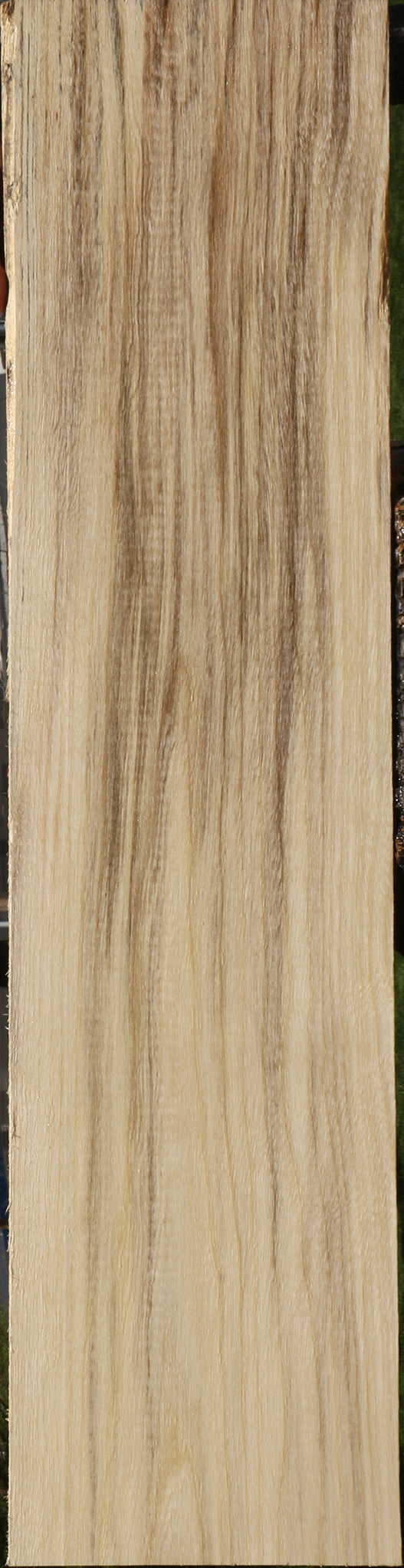 Spalted Hackberry Lumber