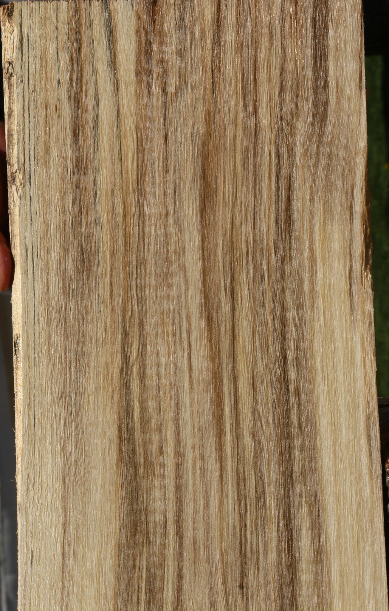 Spalted Hackberry Lumber