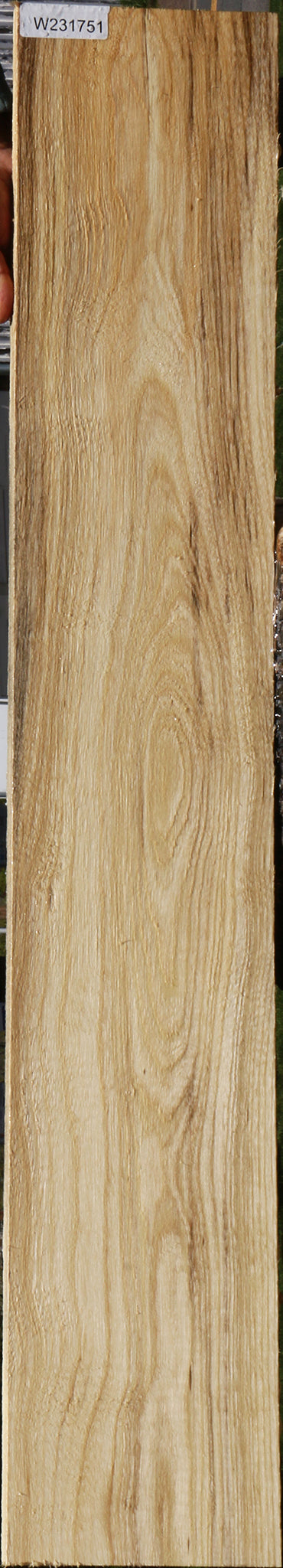 Spalted Hackberry Lumber