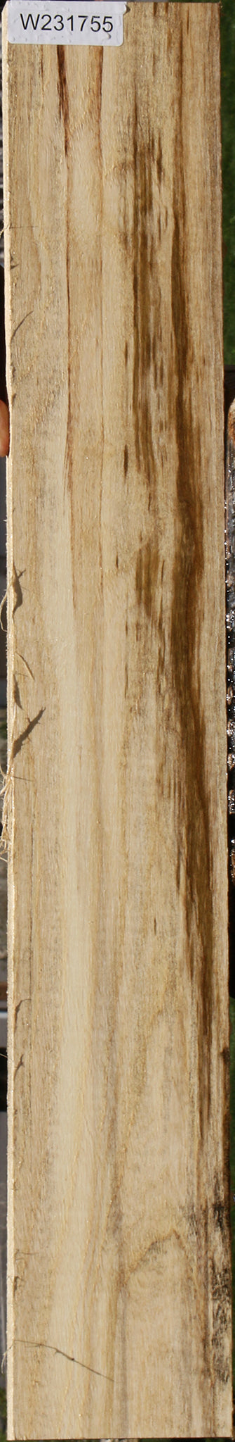 Spalted Hackberry Lumber