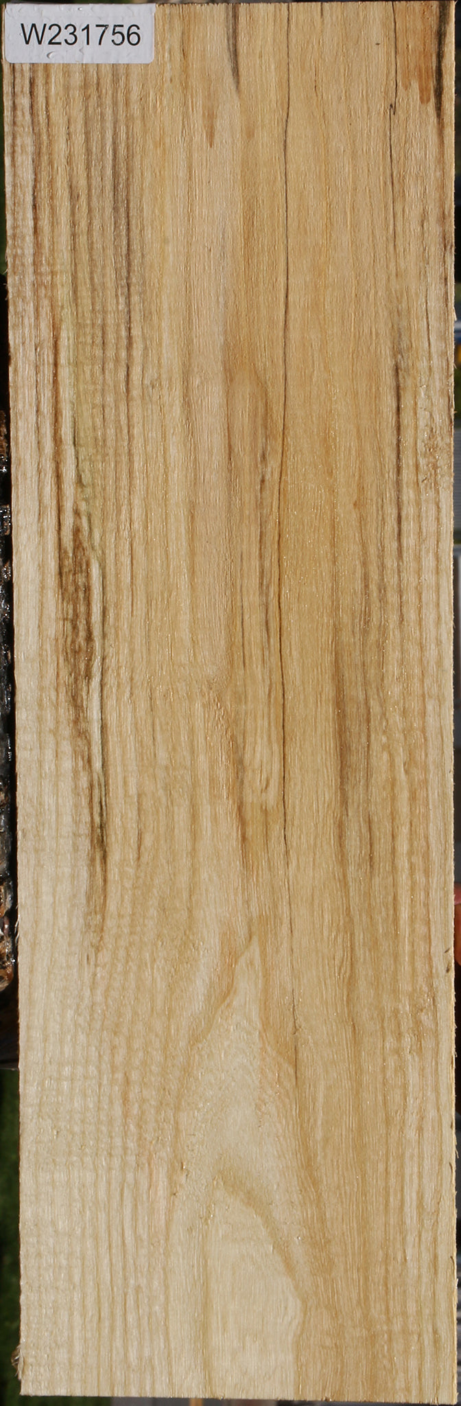 Spalted Hackberry Lumber