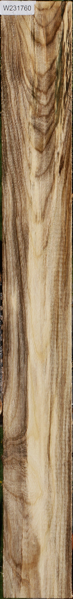 Hackberry Logs Hackberry – Cook Woods