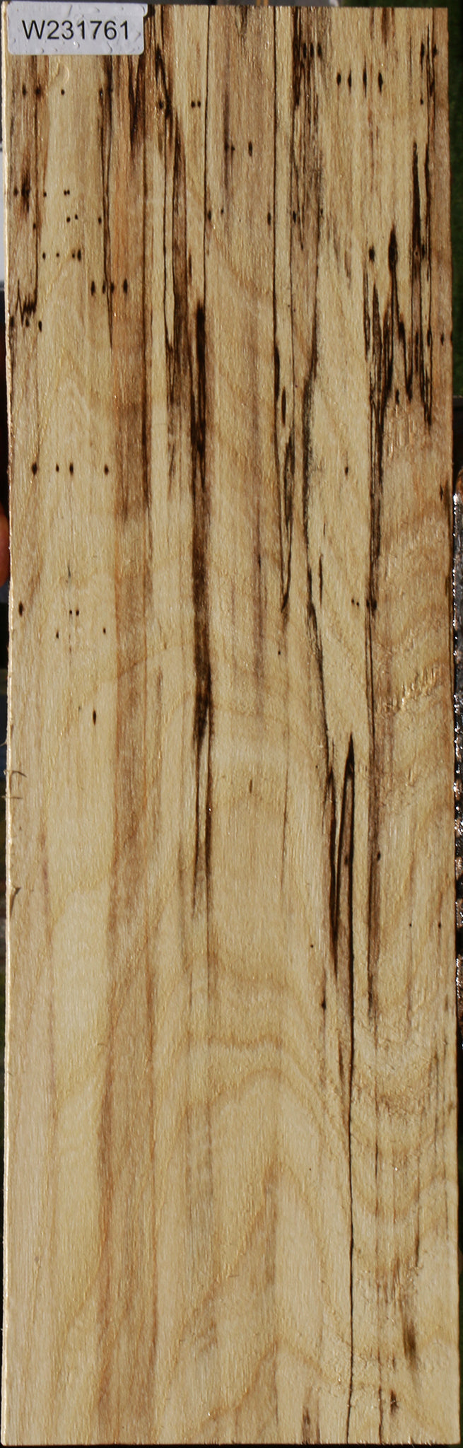 Hackberry Logs Hackberry – Cook Woods