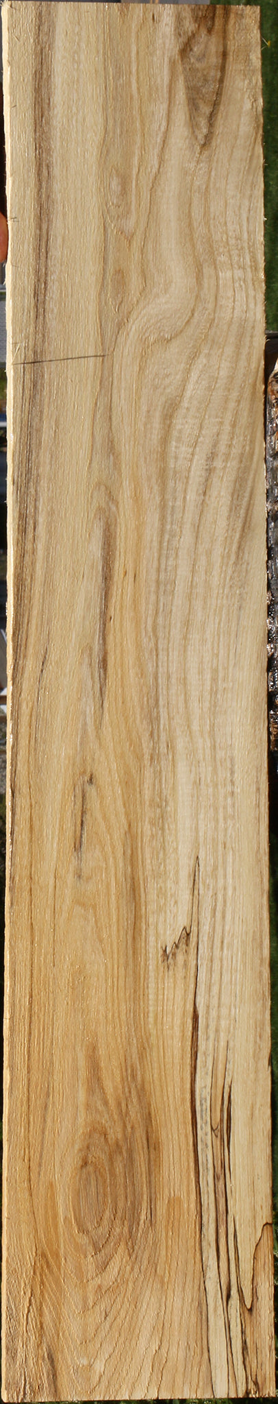 Extra Fancy Spalted Hackberry Lumber