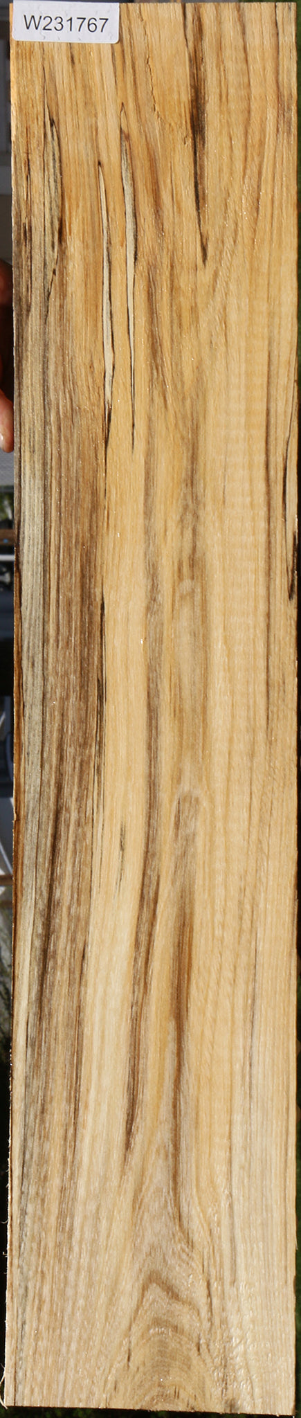 Extra Fancy Spalted Hackberry Lumber