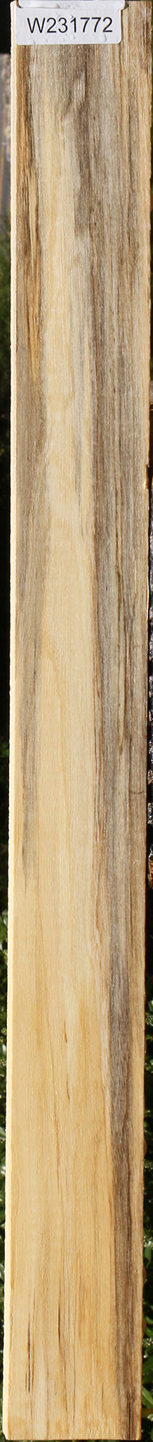 Figured Spalted Hackberry Lumber