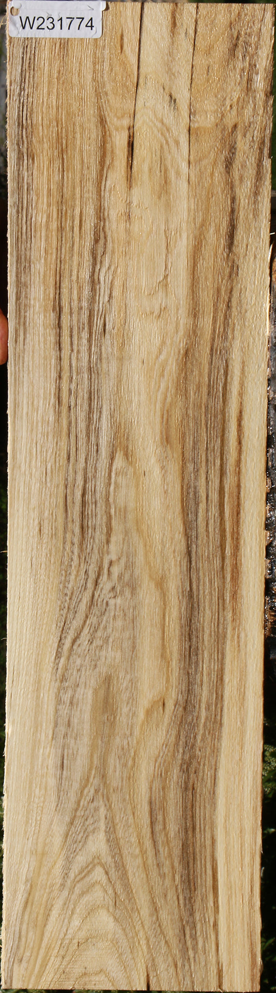 Extra Fancy Spalted Hackberry Lumber