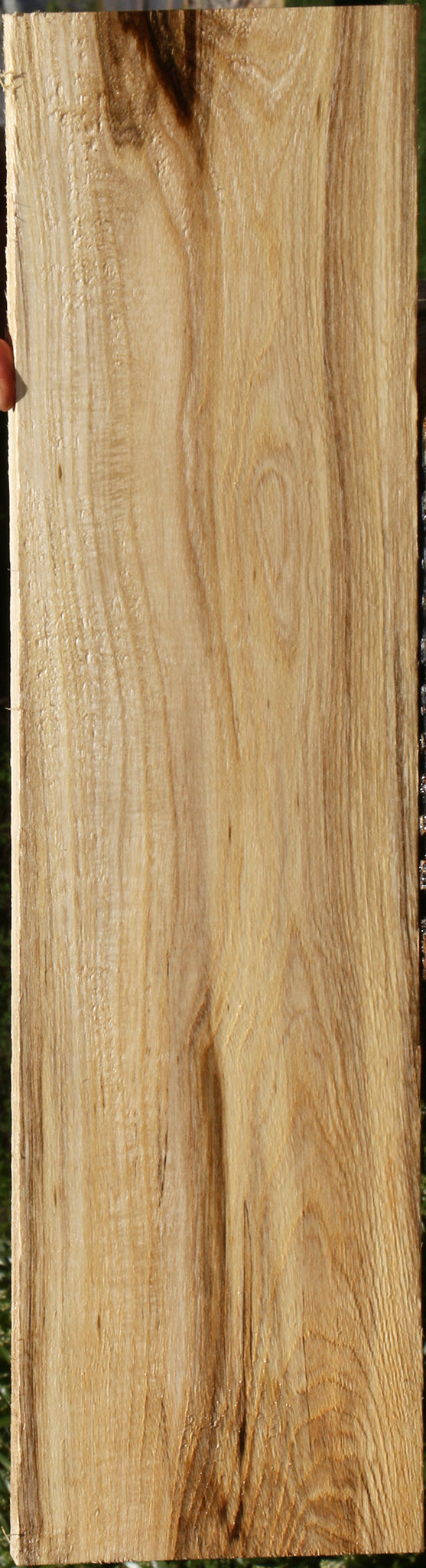 Extra Fancy Spalted Hackberry Lumber