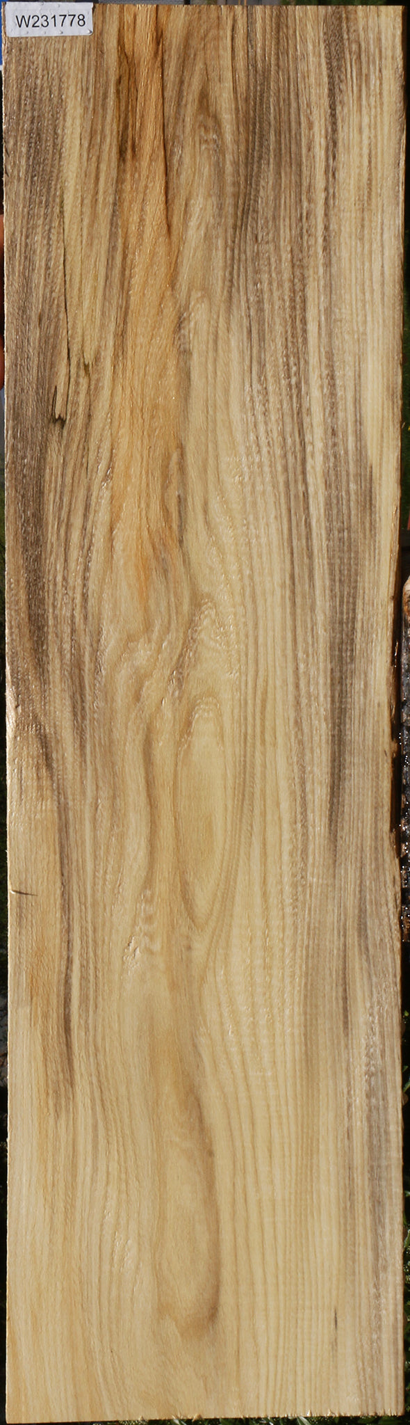Extra Fancy Spalted Hackberry Lumber