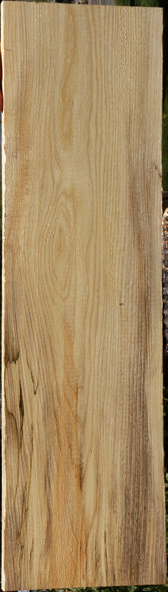 Extra Fancy Spalted Hackberry Lumber