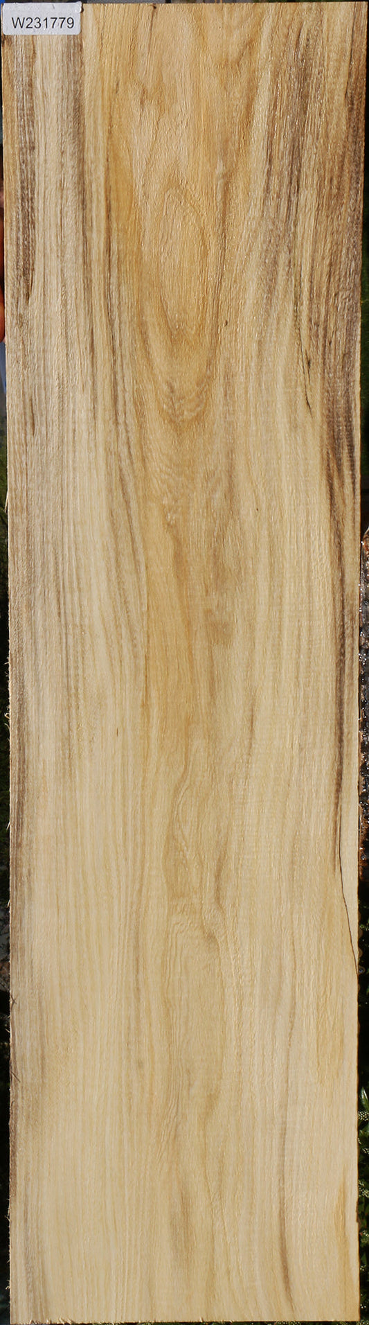 Figured Spalted Hackberry Lumber