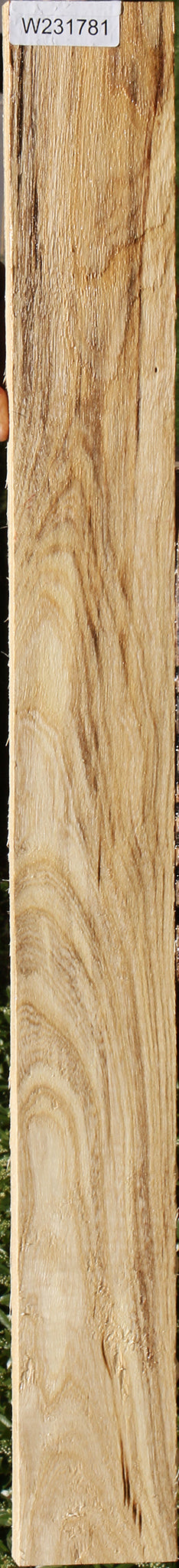 Figured Spalted Hackberry Lumber