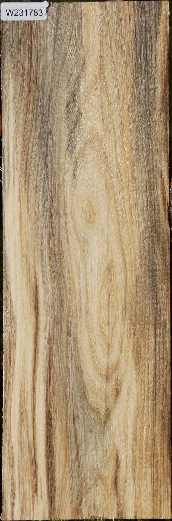 Figured Spalted Hackberry Lumber
