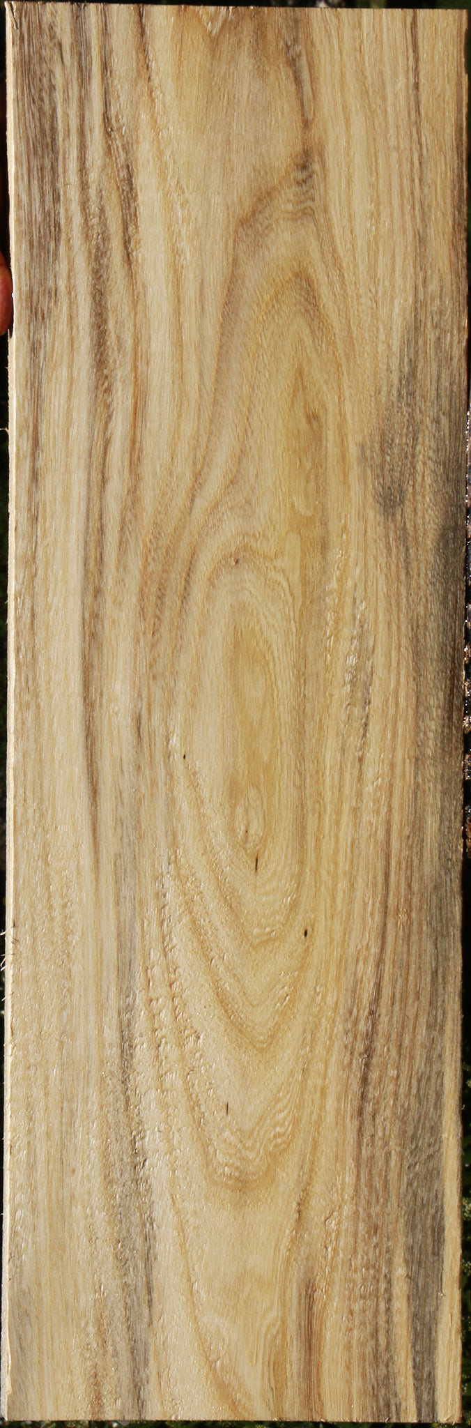 Figured Spalted Hackberry Lumber