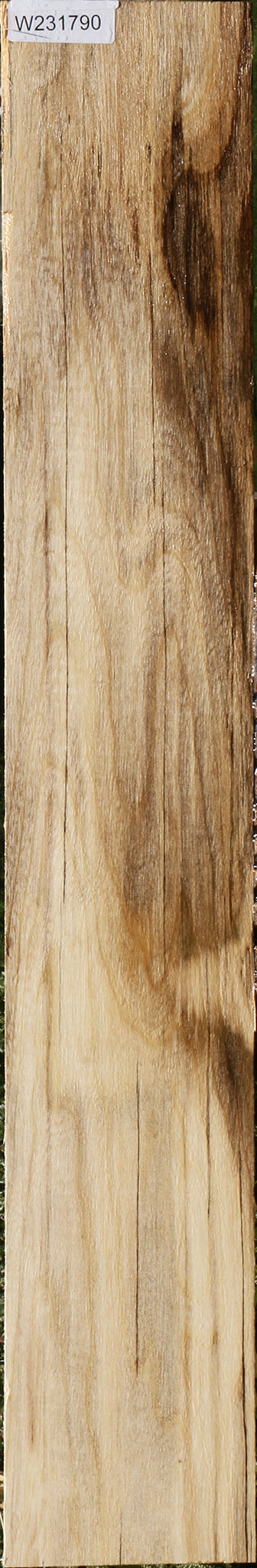 Spalted Hackberry Lumber