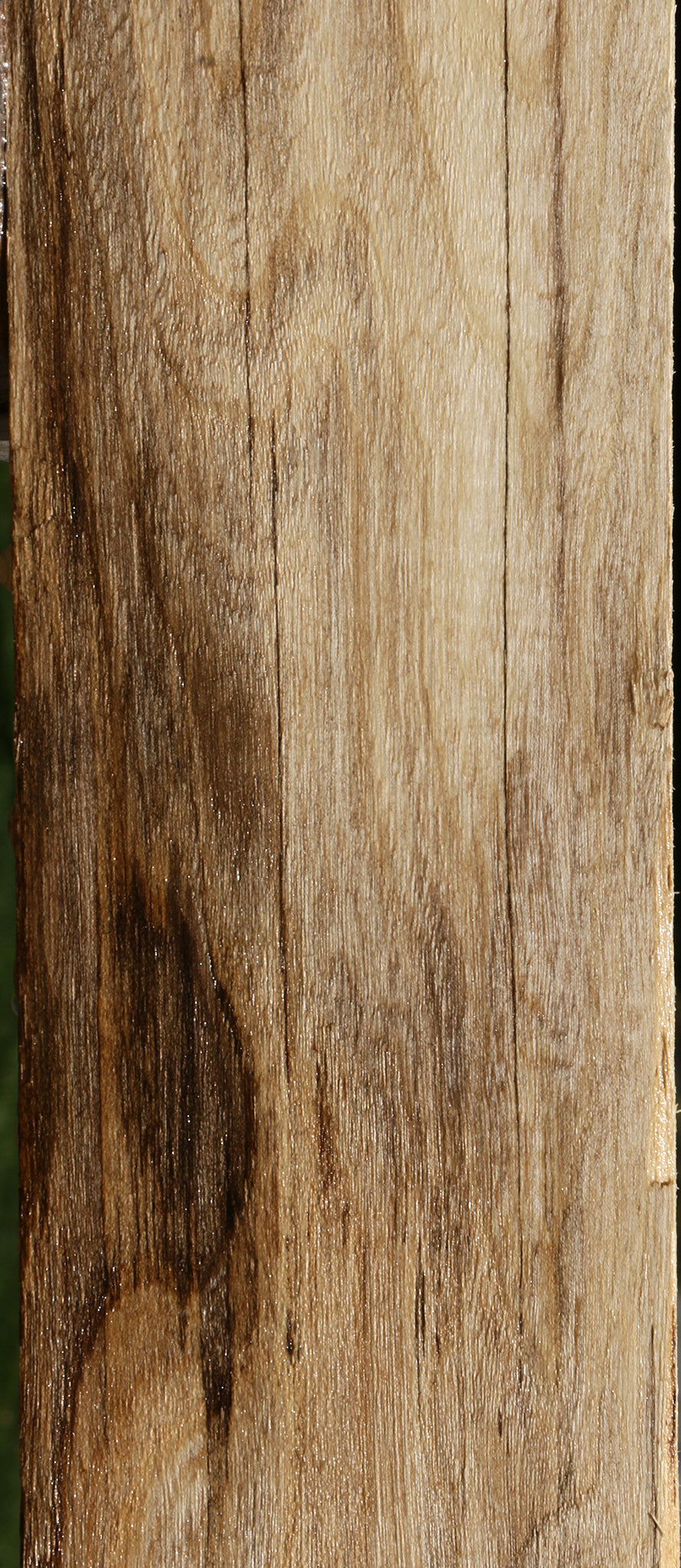 Spalted Hackberry Lumber
