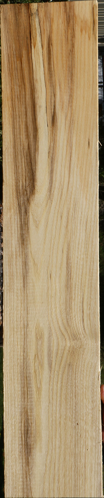 Extra Fancy Spalted Hackberry Lumber