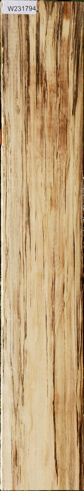 Hackberry Logs Hackberry – Cook Woods
