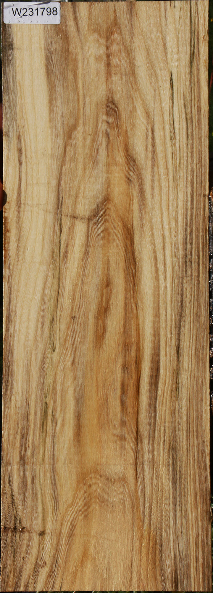 Hackberry Logs Hackberry – Cook Woods