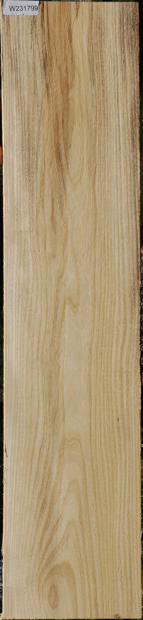 Spalted Hackberry Lumber
